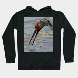 Feeding Sandhill Crane Hoodie